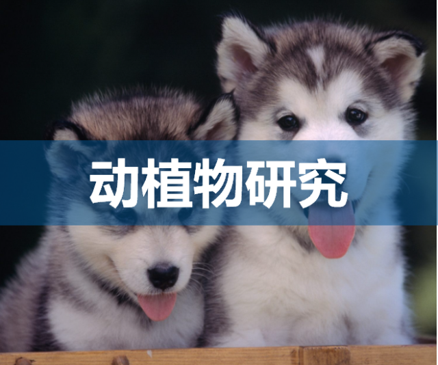 动植物研究领域